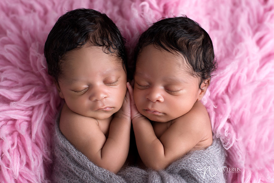 twin baby girls newborn photography chicago