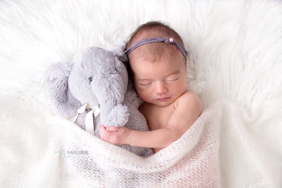 parents stuffed animal with baby for newborn pictures chicago IL