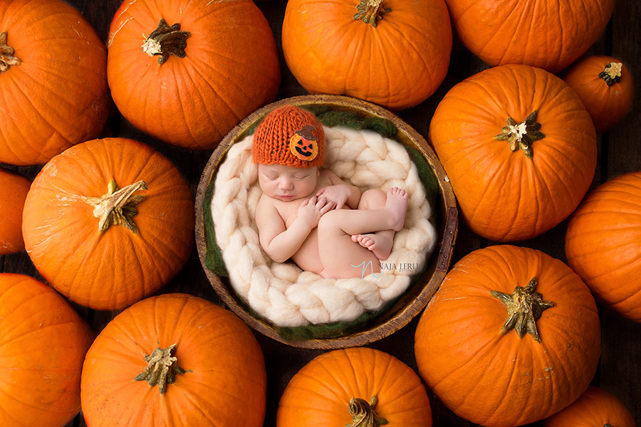 pumpkin Fall inspired newborn pictures