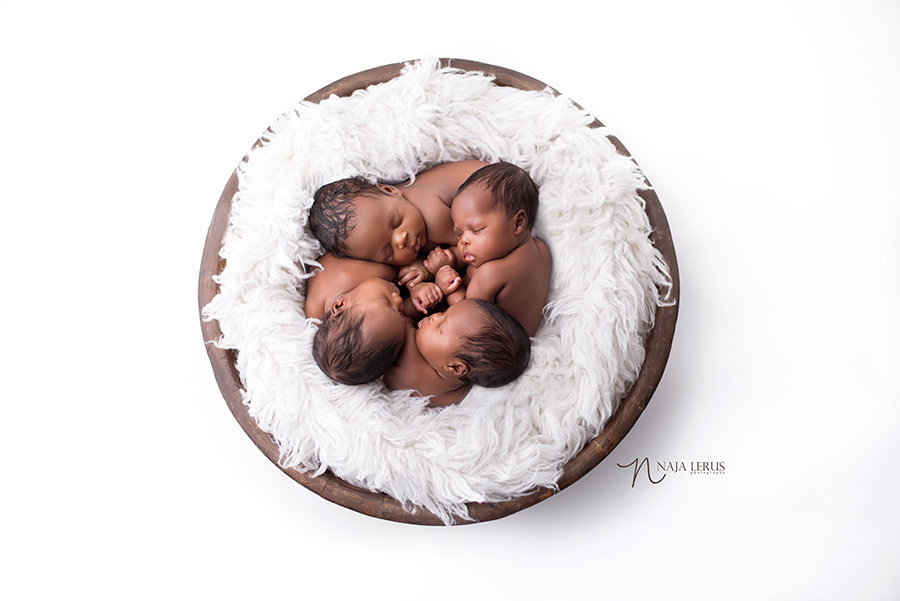 chicago multiples babies in bowl newborn photographer