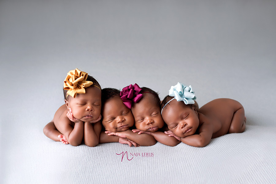 chicago quadruplets newborn photos