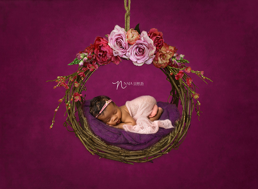 newborn in hanging basket chicago IL
