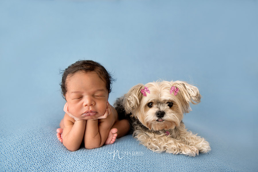 Newborn photographer of newborn baby posed with dog chicago IL 