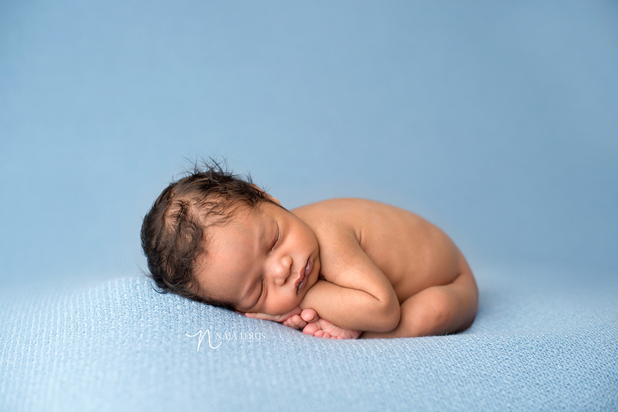 posed newborn photographer chicago il