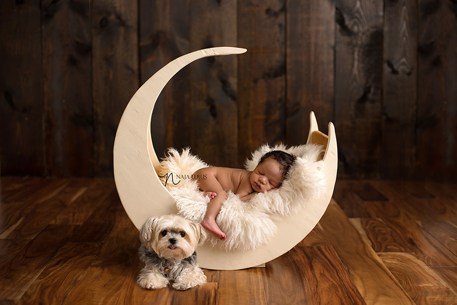 newborn photography moon prop with baby and dog