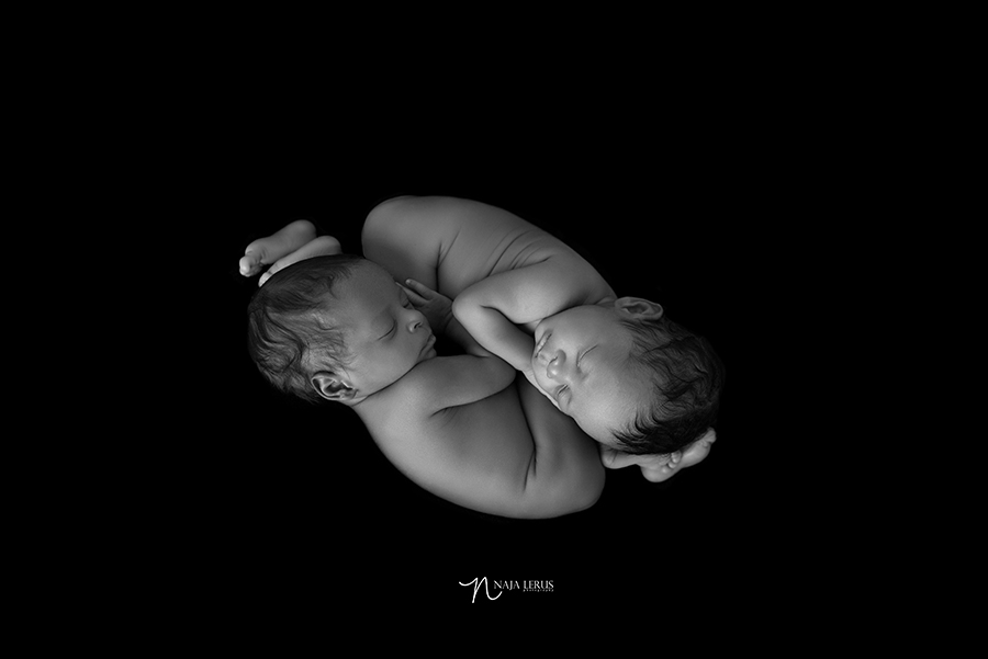 timeless black and white newborn twins photography chicago 