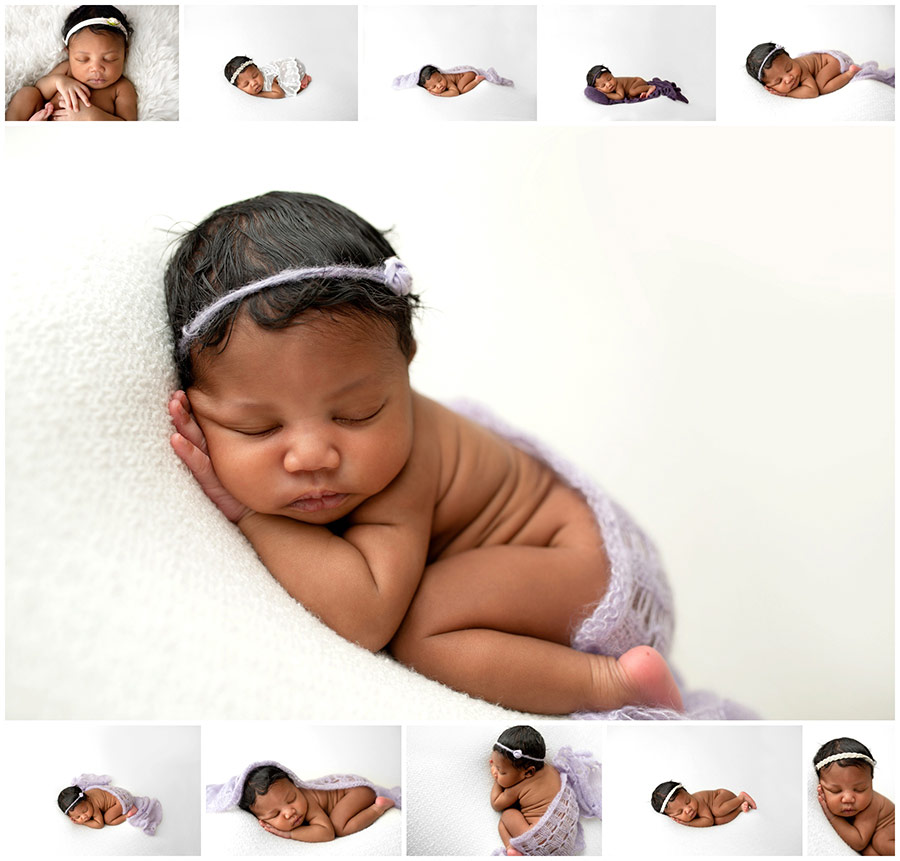 newborn on white photos chicago IL portraits collage