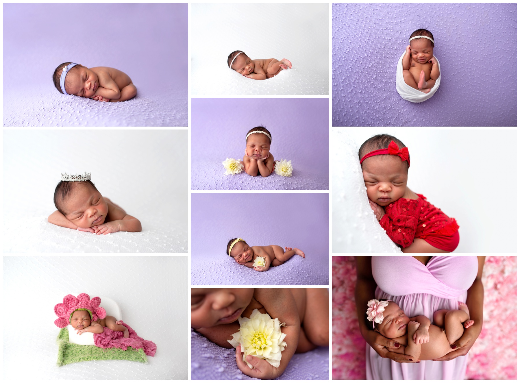 dahlia newborn newborn portraits chicago