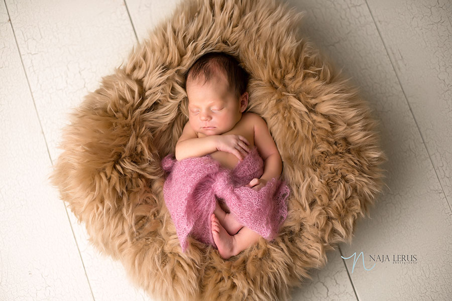 photography prop newborn chicago photographer