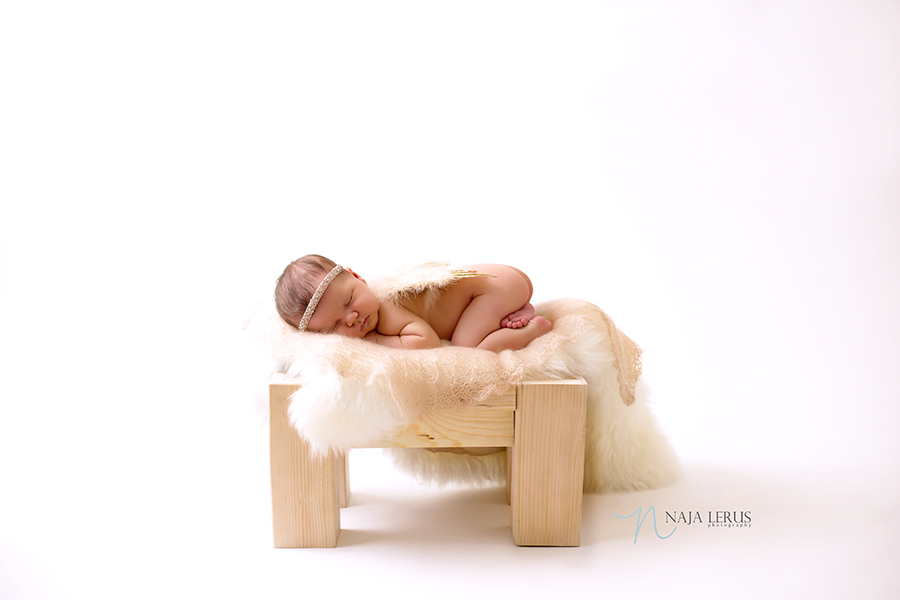 photography prop newborn studio photography chicago