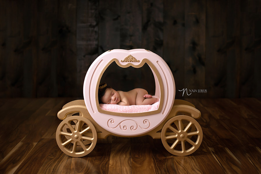 princess carriage newborn photographer chicago baby girl