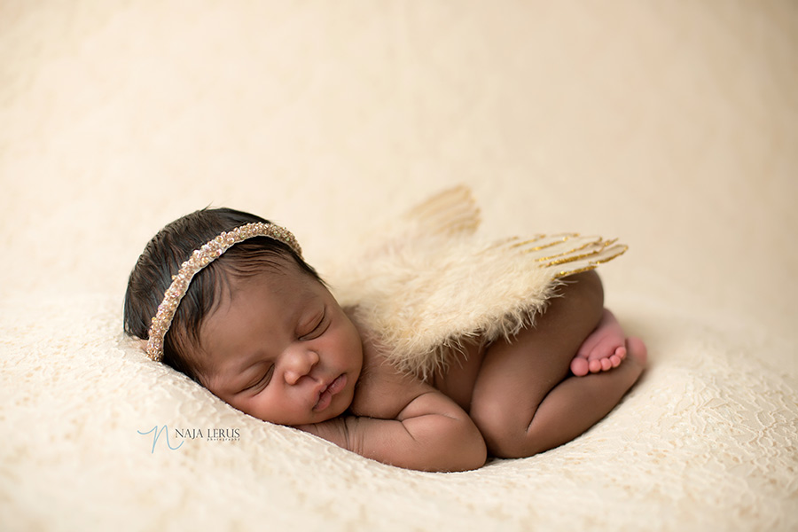 angel baby newborn pictures chicago photos wings