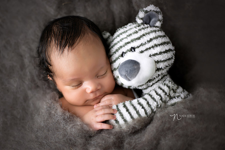 chicago newborn photography with prop shot stuffed animal
