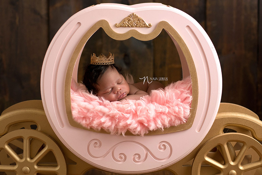 princess carriage newborn pictures chicago