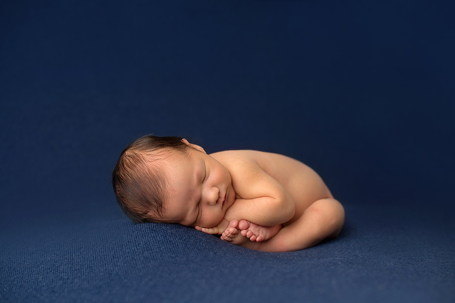 chicago baby portraits newborn photography