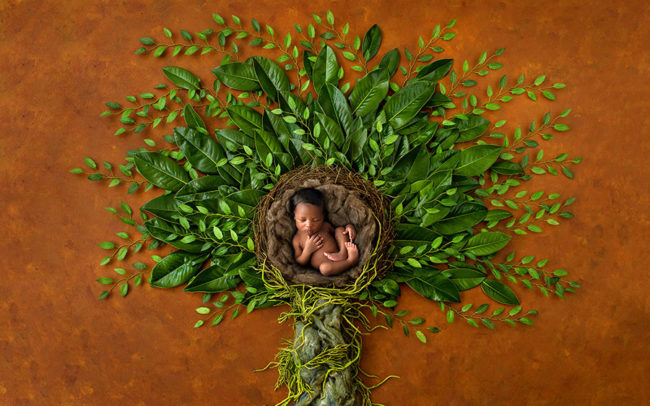 tree of life newborn baby chicago il posing